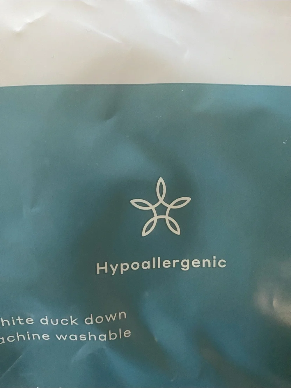 NWT  Casaluna White Down Pillow